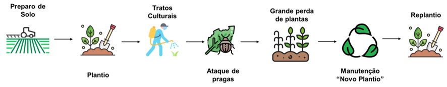 New planting maintenance example