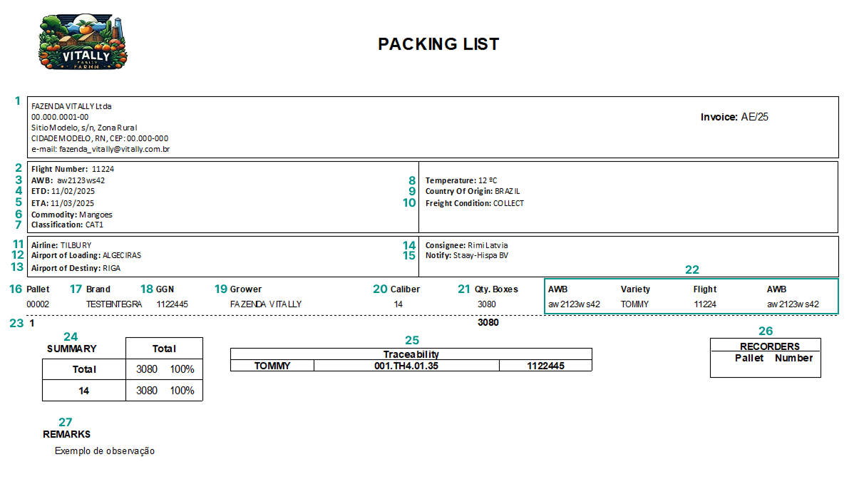 packing-list-aereo