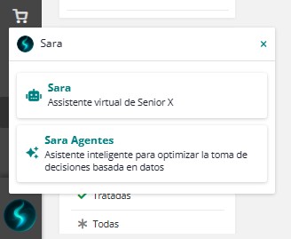 Acesso da Sara Agentes pelo menu Senior X
