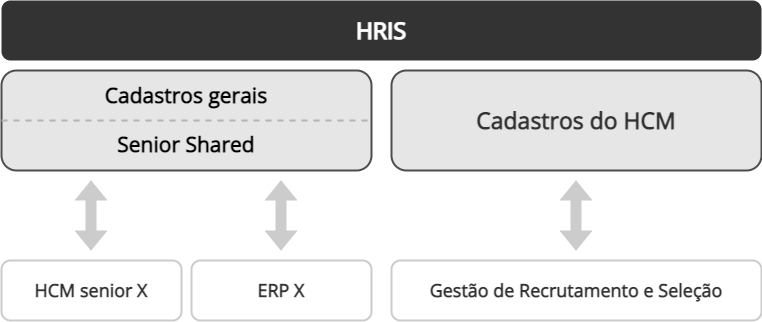 Diagrama de la estructura general del HRIS