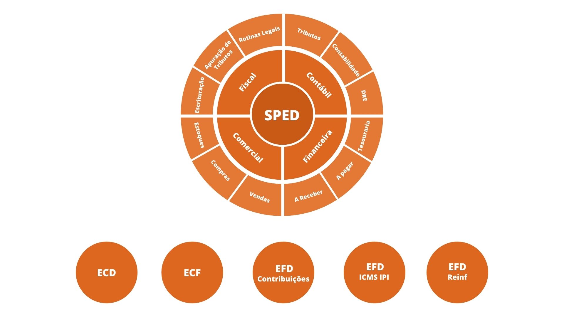 Systema Sped Saiba tudo sobre o SPED