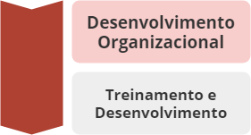 Mapa do processo de Desenvolvimento Organizacional