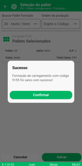 Salvar formação