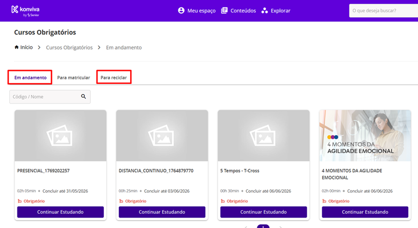 Visão Aluno
