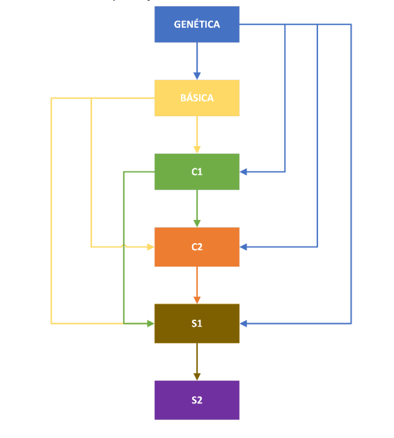 Categorização de Sementes